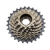 Pinioane bicicleta