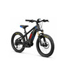 Biciclete electrice Copii
