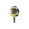 Tenis de masa/Badminton