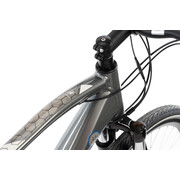 Bicicleta Electrica Afisport C17 - 28 Inch, L-XL, Gri