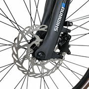 Bicicleta Trekking Kreidler 52856 - 28 inch, M, Gri