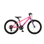 Bicicleta Copii Polar Fuzzy - 20 Inch, Roz