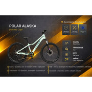 Bicicleta Copii polar Alaska - 24 Inch, Verde