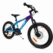 Bicicleta Copii Dhs Terrana 2023B, model 2026 - 20 Inch, Albastru-Violet