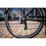 Bicicleta electrica Prophete 52230 - 28 inch, M, Negru