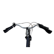 Bicicleta Oras Kieler LD - 28 Inch, M, Gri