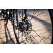 Bicicleta electrica Prophete 52581 - 28 inch, L, Negru