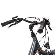 Bicicleta electrica Prophete 54830 - 28 inch, M, Gri