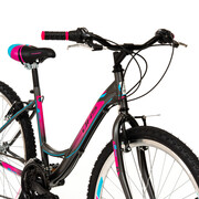 Bicicleta Oras DHS Modesty - 26 Inch, Gri