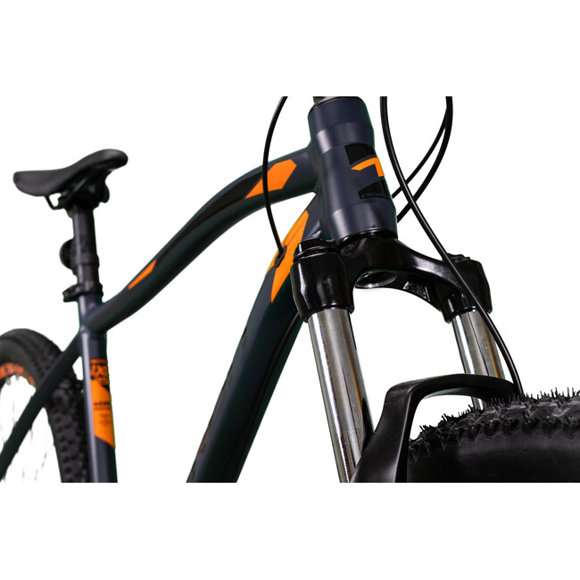 Bicicleta Mtb Devron Riddle 2023 RM2.9 - 29 Inch, L, Gri-Portocaliu