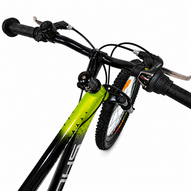 Bicicleta Copii Dhs Terrana 2023B, model 2026 - 20 Inch, Negru-Verde