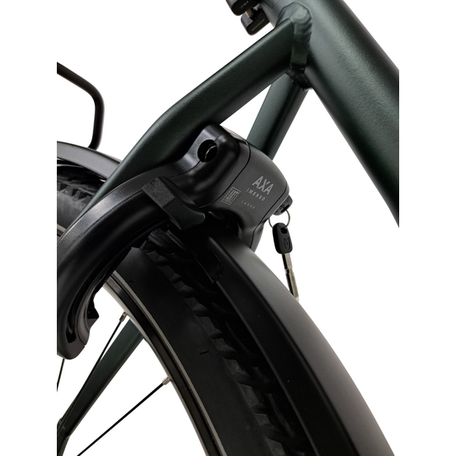 Bicicleta electrica Trekking  Stella Tierra - 29 inch, 10V, L, Verde