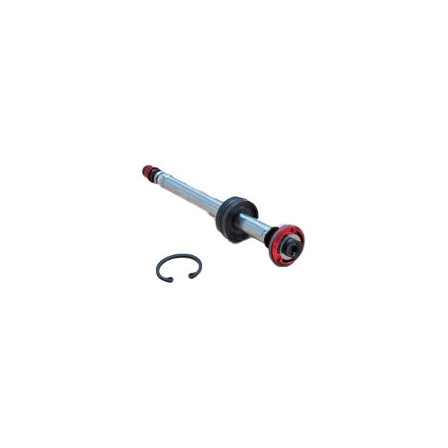 Rebound Damper And Seal Head Assembly/Shaft Bolt - 2009-2011 Sid