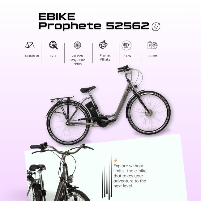 Bicicleta Electrica Prophete 52562 - 28 Inch, M, Gri