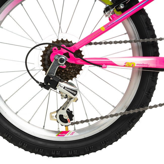 Bicicleta Copii DHS Modesty - 20 Inch, Roz