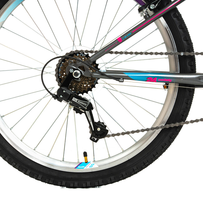 Bicicleta Copii DHS Modesty - 24 Inch, Gri